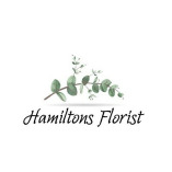 Hamiltons Florist St. Petersburg