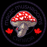 mushroomresercheshop