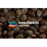 Weedseedsexpress